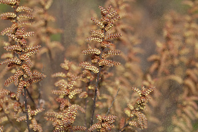 BUITEN BEELD Foto: 222857