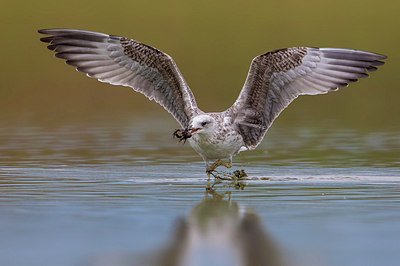 BUITEN BEELD Foto: 222858