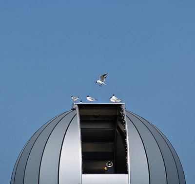 BUITEN BEELD Foto: 222891