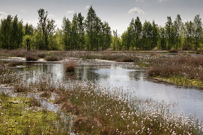 BUITEN BEELD Foto: 222926