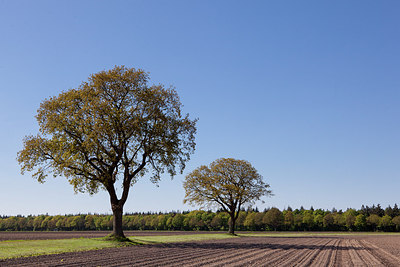 BUITEN BEELD Foto: 222927