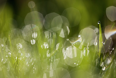 BUITEN BEELD Foto: 222929