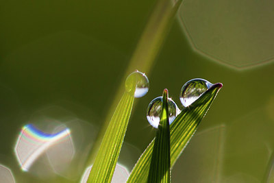 BUITEN BEELD Foto: 222930