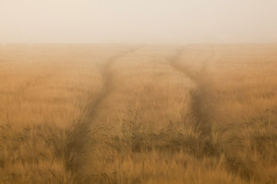 BUITEN BEELD Foto: 222935