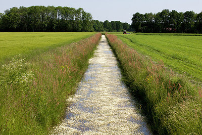 BUITEN BEELD Foto: 222936
