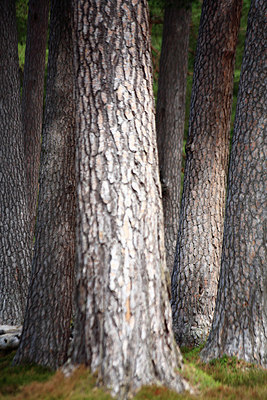BUITEN BEELD Foto: 222985