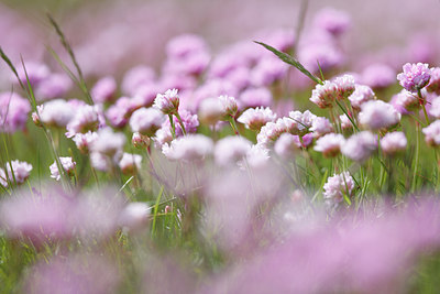 BUITEN BEELD Foto: 222994