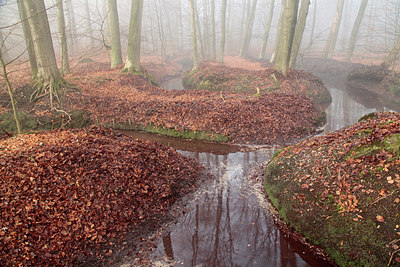 BUITEN BEELD Foto: 223095