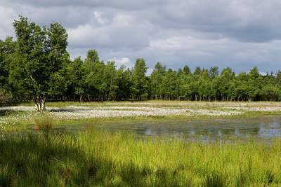 BUITEN BEELD Foto: 223102