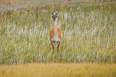 BUITEN BEELD Foto: 223127