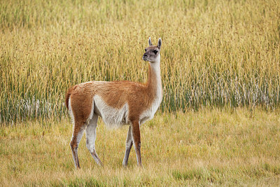 BUITEN BEELD Foto: 223128