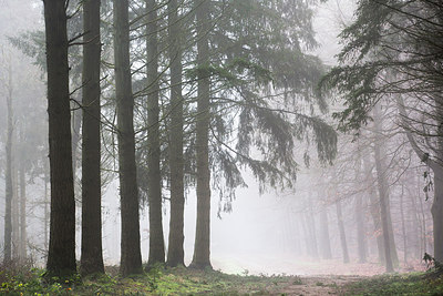 BUITEN BEELD Foto: 223156