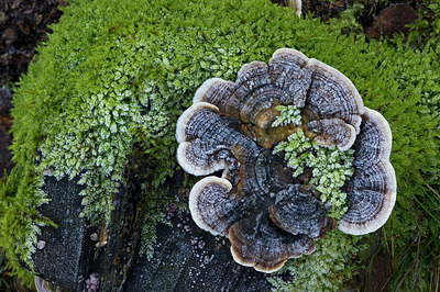 BUITEN BEELD Foto: 223226