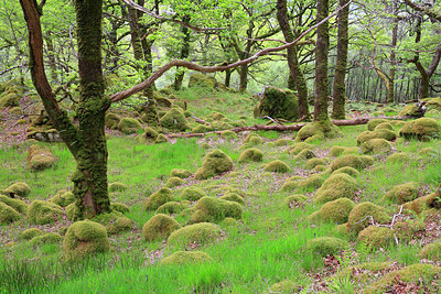 BUITEN BEELD Foto: 223263