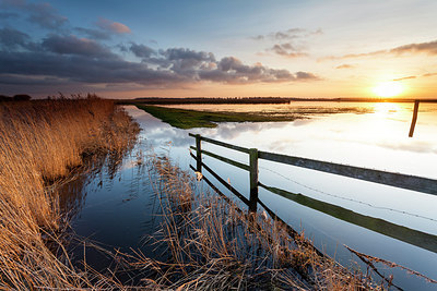 BUITEN BEELD Foto: 223285