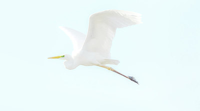 BUITEN BEELD Foto: 223294