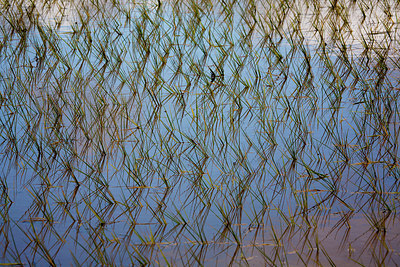 BUITEN BEELD Foto: 223420