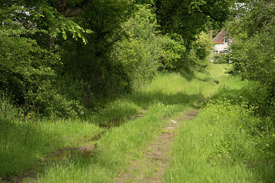 BUITEN BEELD Foto: 223477