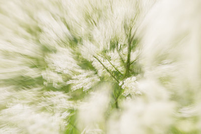 BUITEN BEELD Foto: 223515