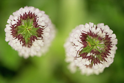 BUITEN BEELD Foto: 223550