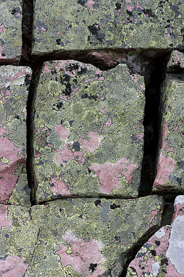 BUITEN BEELD Foto: 223612