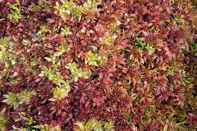 BUITEN BEELD Foto: 223673