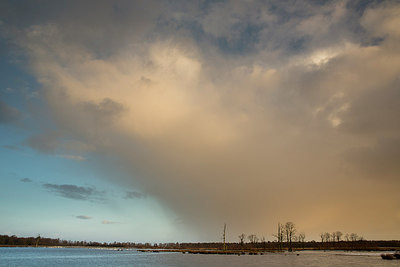 BUITEN BEELD Foto: 223693