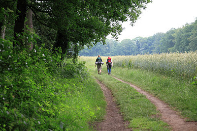 BUITEN BEELD Foto: 223742