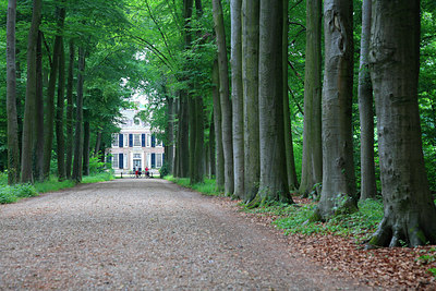 BUITEN BEELD Foto: 223763