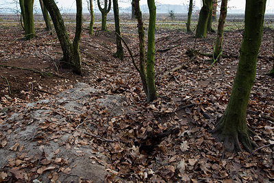 BUITEN BEELD Foto: 223833