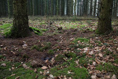 BUITEN BEELD Foto: 223836