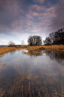 BUITEN BEELD Foto: 223908