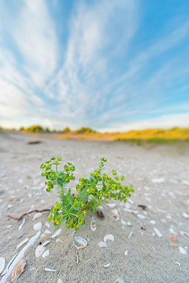 BUITEN BEELD Foto: 223921