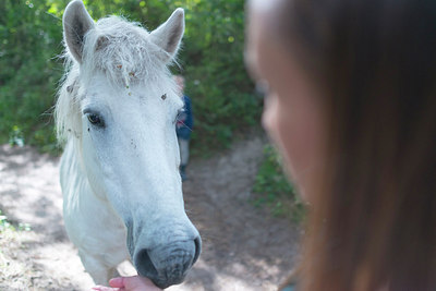 BUITEN BEELD Foto: 223927
