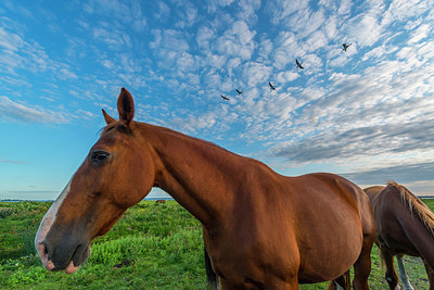 BUITEN BEELD Foto: 223958