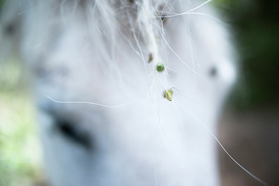 BUITEN BEELD Foto: 223985