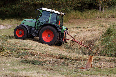 BUITEN BEELD Foto: 224152
