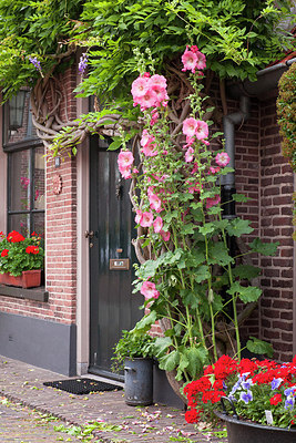 BUITEN BEELD Foto: 224186