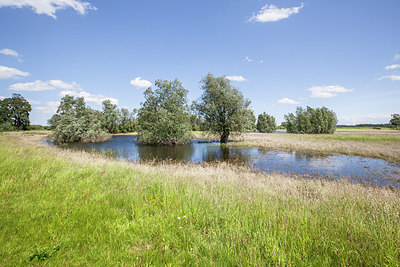 BUITEN BEELD Foto: 224195