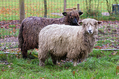 BUITEN BEELD Foto: 224202