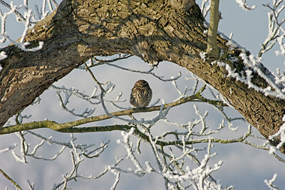 BUITEN BEELD Foto: 224272