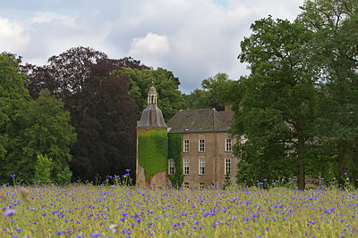 BUITEN BEELD Foto: 224274