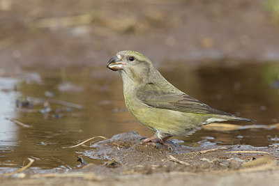 BUITEN BEELD Foto: 224383