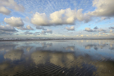 BUITEN BEELD Foto: 224428