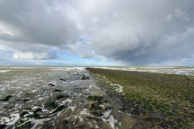 BUITEN BEELD Foto: 224488