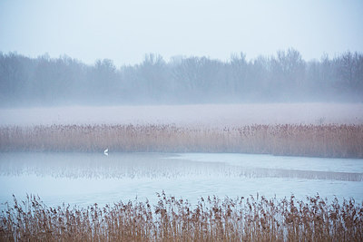 BUITEN BEELD Foto: 224495