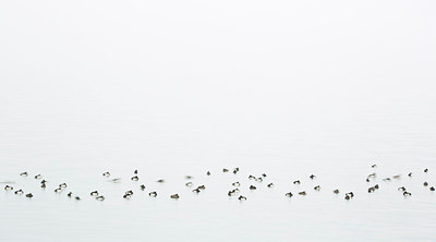 BUITEN BEELD Foto: 224497