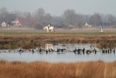 BUITEN BEELD Foto: 224535