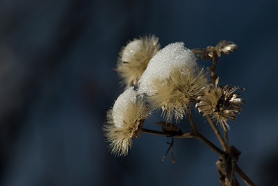 BUITEN BEELD Foto: 224543