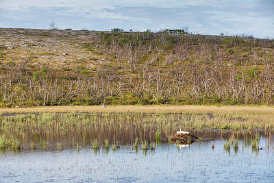 BUITEN BEELD Foto: 224619